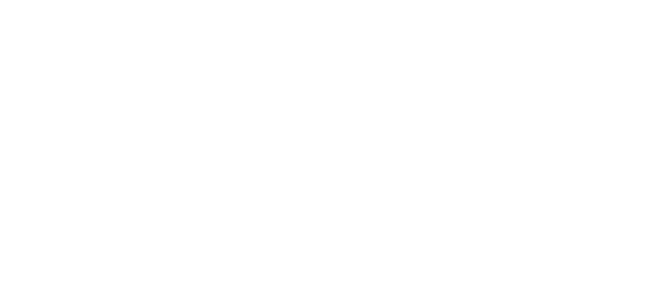 BlissClean